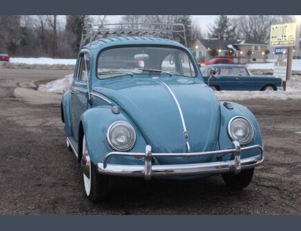 Thumbnail Photo undefined for 1962 Volkswagen Beetle